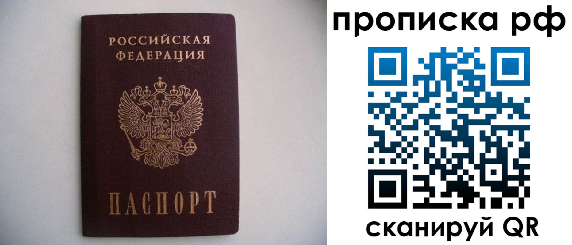 временная регистрация гарантия в Камчатском крае
